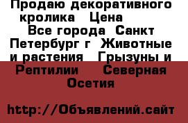 Продаю декоративного кролика › Цена ­ 500 - Все города, Санкт-Петербург г. Животные и растения » Грызуны и Рептилии   . Северная Осетия